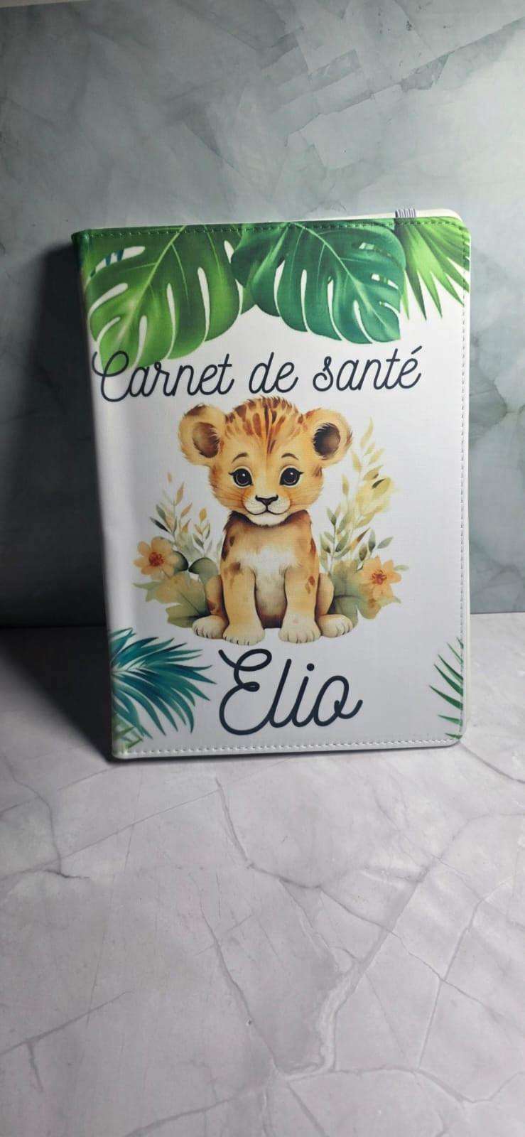 Carnet de Santé